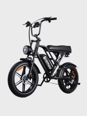 Remoo Electric Bike