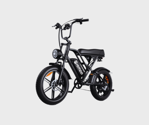 Remoo Electric Bike