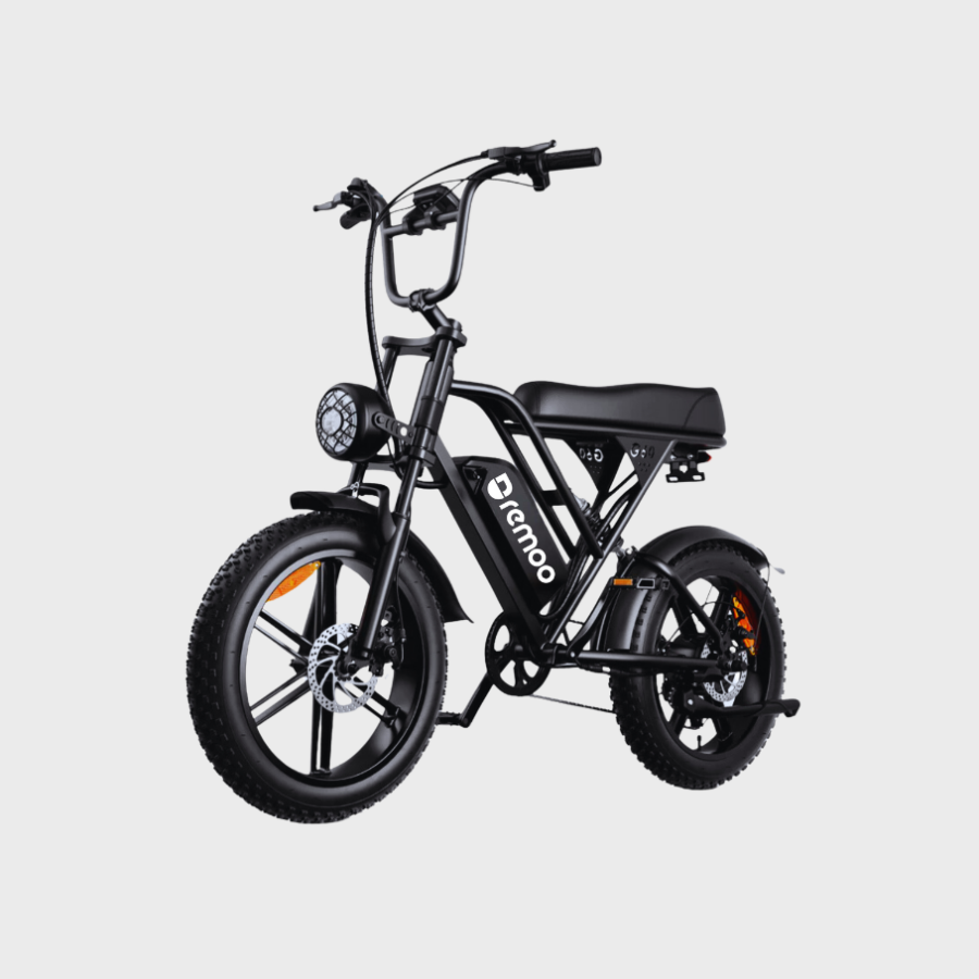 Remoo Electric Bike