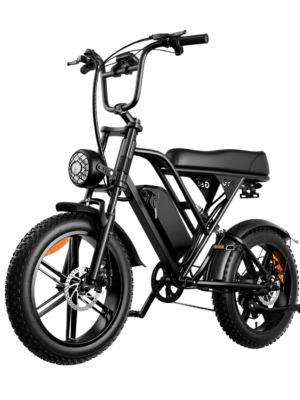 Remoo Electric Bike